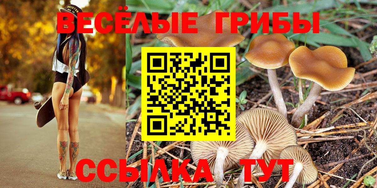 Псилоцибиновые грибы Magic Shrooms  Вход с VPN  Великий Новгород 